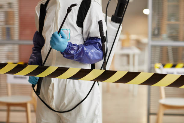 Professional Sewage Cleanup technician working in Plainview, NE